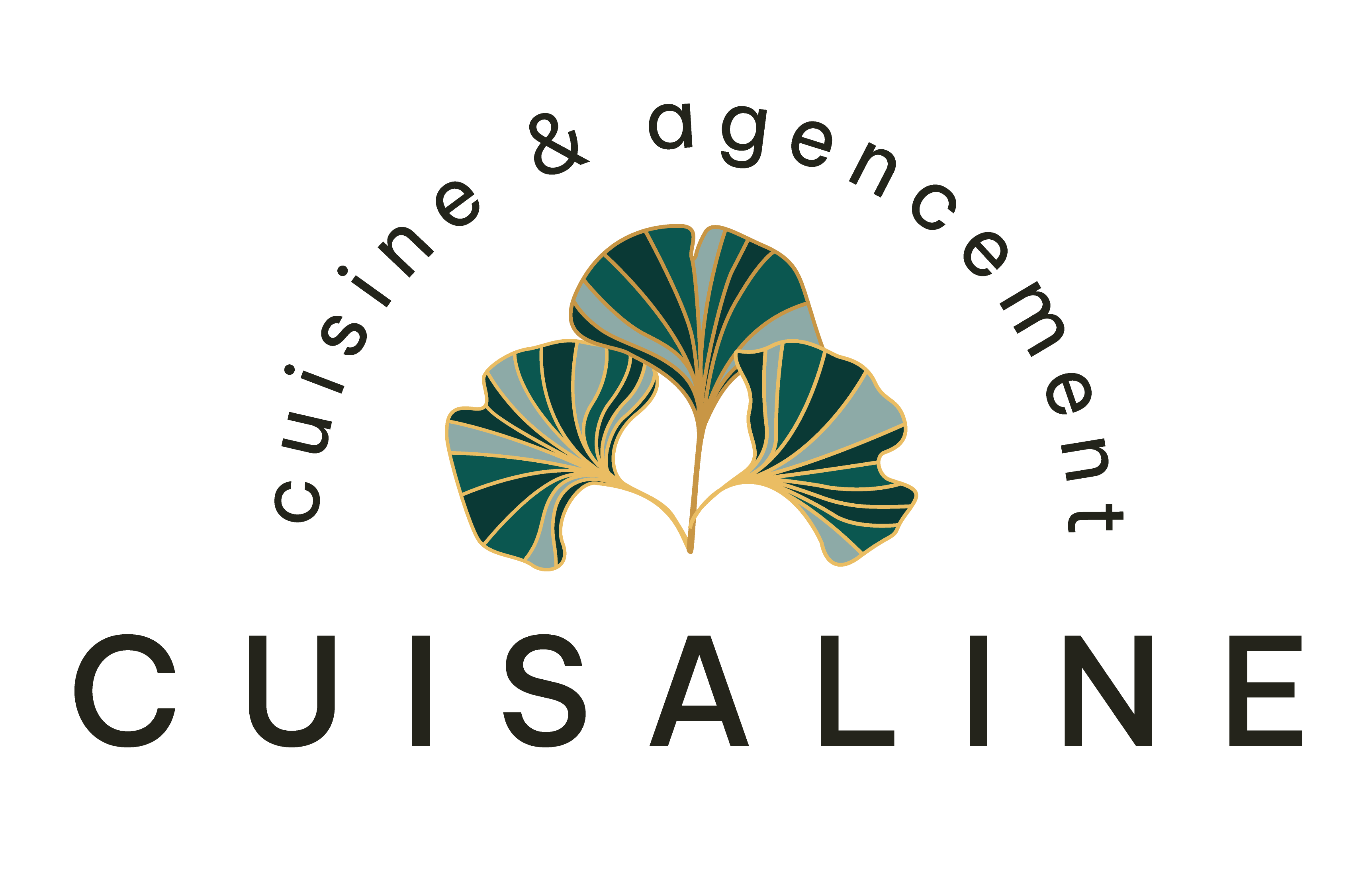 Logo Cuisaline
